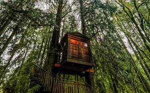 Treehouse Point, a collection of seven rentable treehouses in Issaquah, near Fall City, Wash., is neighbored by the Raging River about 30 minutes east of Seattle. This treehouse is known as Bonbibi. 