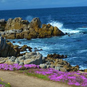 A view of the water at Pacific Grove, Calif.