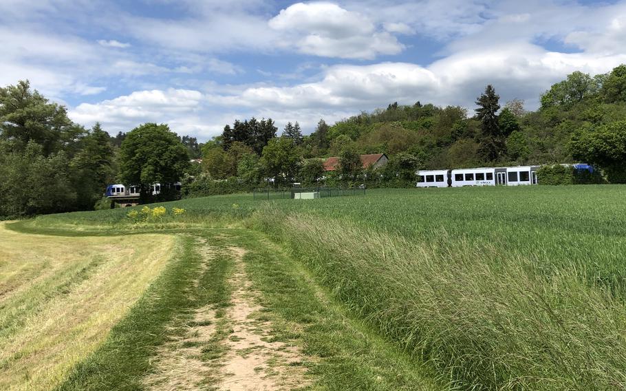 Much of the barefoot path runs through meadows, and the packed dirt surface along the trail is comfortable to walk in bare feet. 