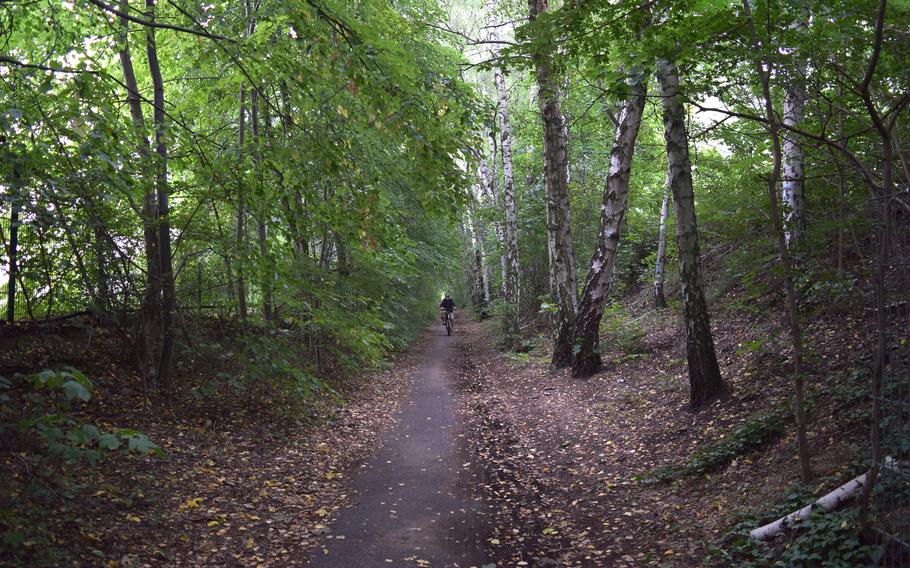 White-barked birch trees are a familiar sight in woods that have sprung up along the route. 