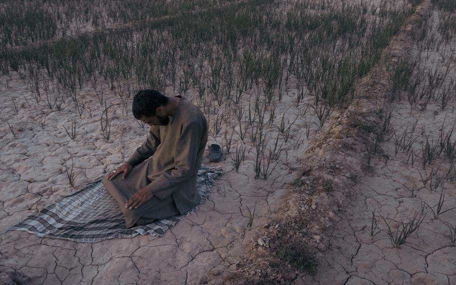 A farmer prays on a dried-out patch of land in Sholgara, an area affected by drought near the city of Mazar-e Sharif in northern Afghanistan, in April. 