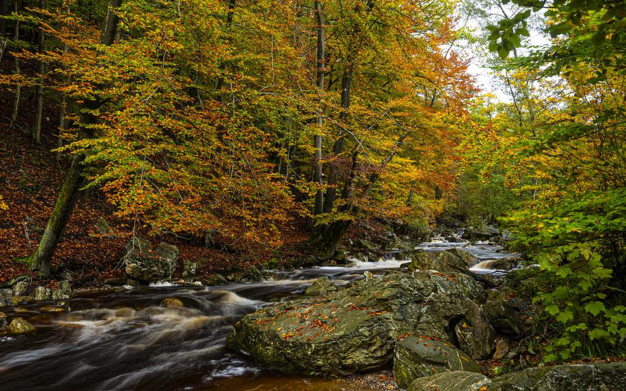 The Hoegne River runs through Belgium’s High Fens, an area characterized by bogs and heavy precipitation. It abruptly picks up speed in the vicinity of the Centennial Bridge near Jalhay. The Promenade de la Hoegne, bursting with fall color on Oct. 28, 2023, takes hikers along this fast-flowing stretch of the river.