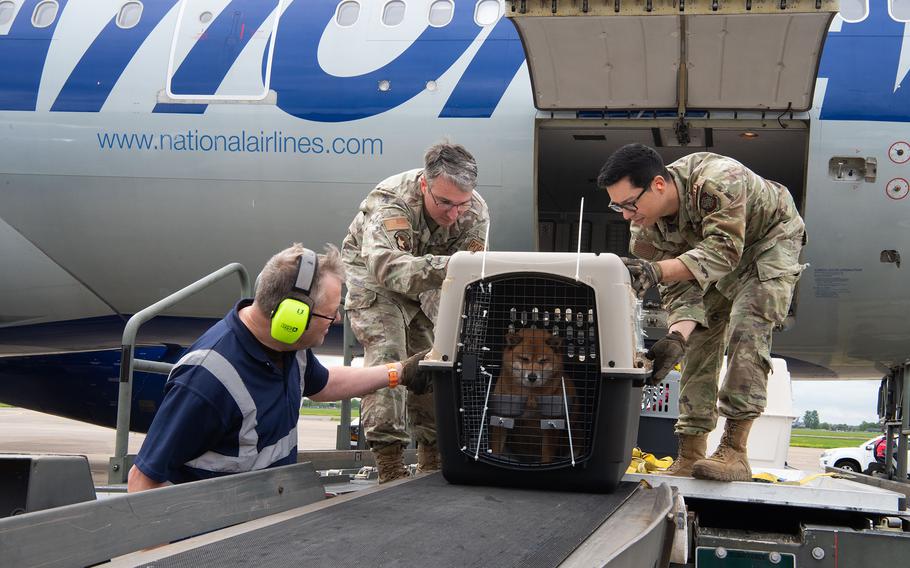 U.S. airmen unload pets from the Patriot Express at RAF Mildenhall, England, in May 2023. 