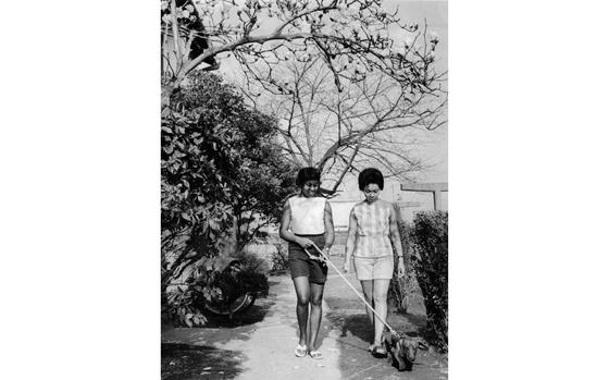 Tokyo, Japan, March 1963: A balmy Spring day provided the ideal setting for walking the dog at the Washington Heights housing area in Tokyo for Mrs. Fred D. Jones (left) and Mrs. Jack Lee. Mrs. Jones is the wife of Tech. Sgt. Jones of 5th Air Force and Mrs. Lee is the wife of Staff Sgt. Lee of the 1956th Communications Group at Fuchu Air Station. 

META TAGS: Pacific; Japan; weather; seasons; Spring; military family; military community; female; dependents; animal; pet; tree; blooming tree; U.S. Air Force; 1956th Communcations Group; military life; leisure