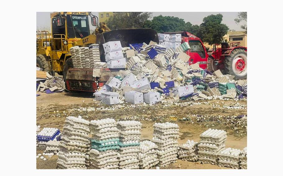 Heavy machinery is used to dispose of rotten eggs in Rafah, Egypt, May 22, 2024. The eggs had been part of aid packages for Gaza but went bad sitting in the sun at the Rafah crossing.