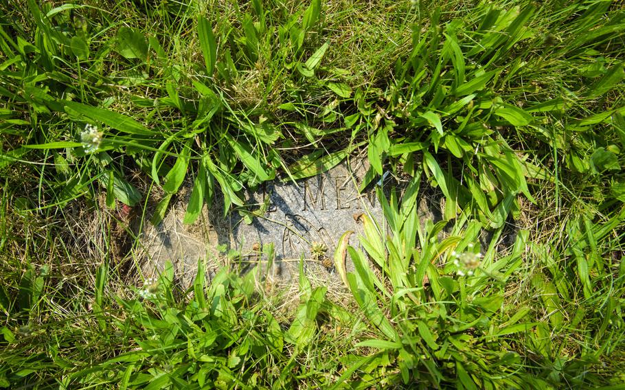 Grass surrounds one of many veterans' headstones in similar conditions in Northwood Cemetery/Soldiers Field in Windsor.