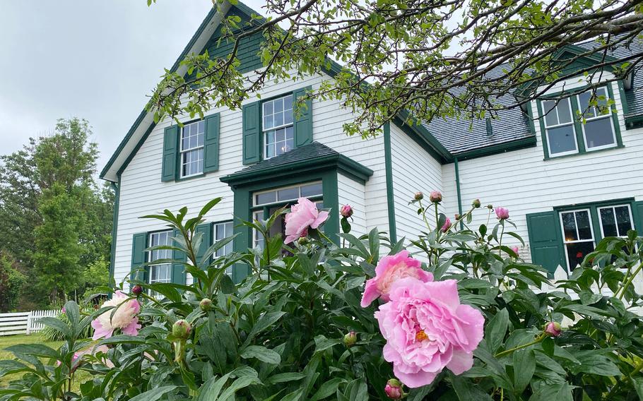 A bush with pink flowers stands in the foreground in front of a white cottage with green trim in the background.