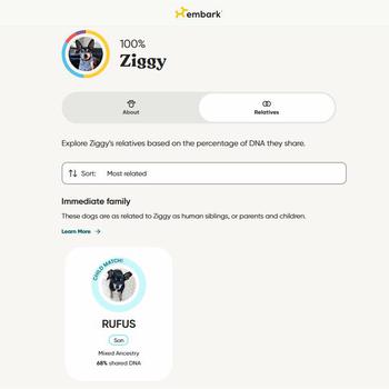 A screenshot of a pet’s DNA results. 