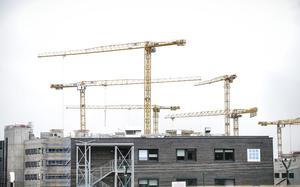 Up to 15 cranes at a time work on the 47-hectare construction zone of the new Rhine Ordnance Barracks Medical Center, in Weilerbach, Germany. The new hospital next to Ramstein Air Base will be the largest U.S. military hospital outside the United States.



