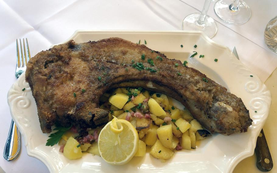 The Forsthaus chops as served at Forsthaus Rheinblick in Wiesbaden, Germany. A large bone-in pork chop, pan-fried and served with roasted potatoes. And it is large.