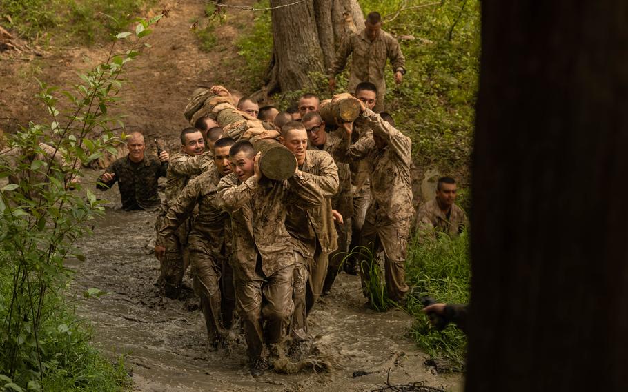 Marine carry a log.