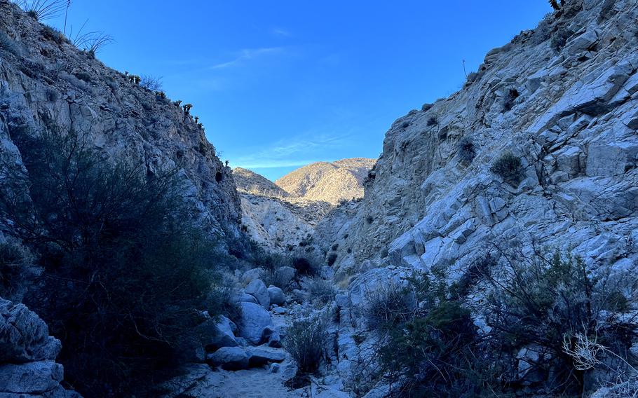 Hiking through Moonlight Canyon, a 1.6-mile easy-to-moderate loop that is located near Agua Caliente County Park. Many hiking trails start in or near campgrounds.