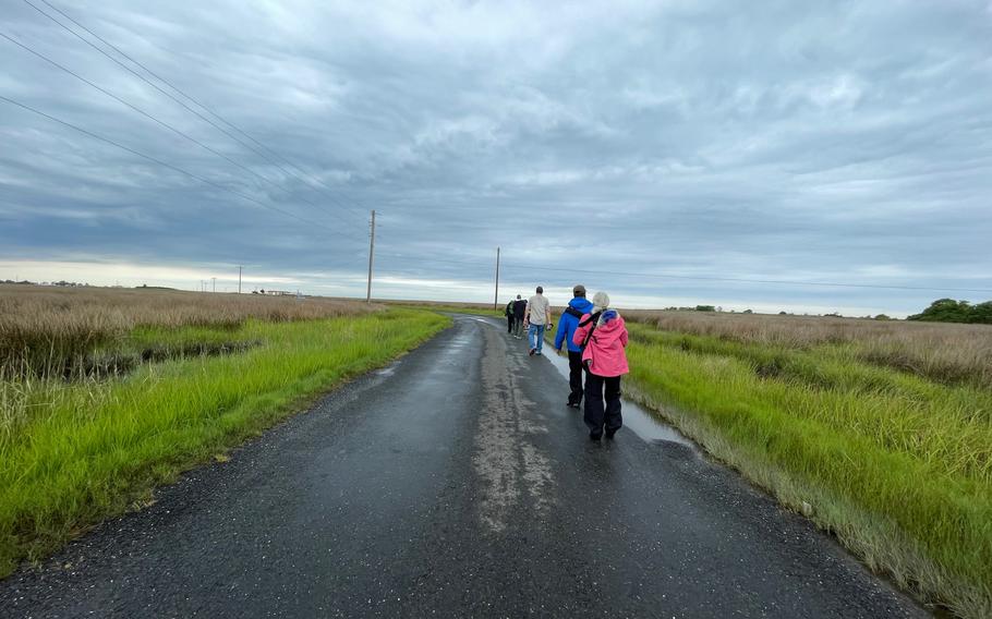 Visitors search for birds on the marsh-lined road from Ewell to Rhodes Point on Smith Island, Md. 