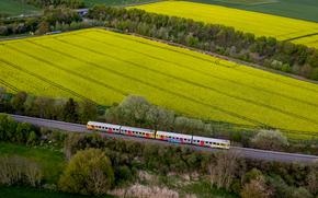 File---File photo shows regional train passes fields of rapeseed plants in Wehrheim near Frankfurt, Germany, Monday, May 2, 2022.  (AP Photo/Michael Probst,file)