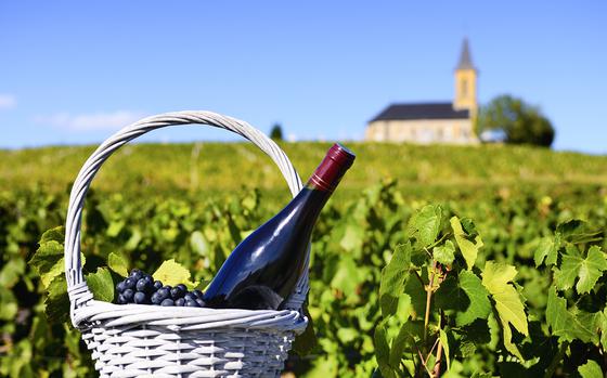 Enjoy French wine at the Bordeaux wine festival. Kaiserslautern Outdoor Recreation is taking a tour June 23-27.