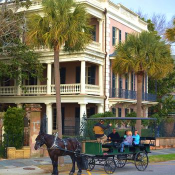 A horse and carriage in Charleston, S.C.