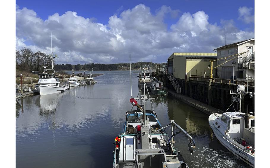 Oysters and fishing are the two mainstays of the economy of Bay Center in southwest Washington. In this port area, crab boats that work the winter harvest unload their catch as they come back from harvest areas. 
