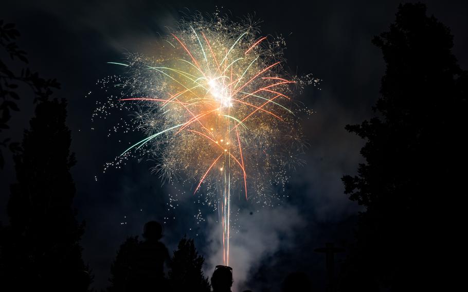 Fireworks light up the night sky.