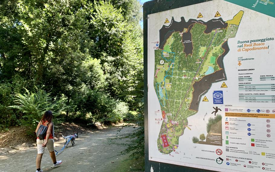 Real Bosco di Capodimonte spans more than 331,000 acres and includes hundreds of species of plants, including cypresses and magnolias from the Americas. Maps throughout the park help keep visitors oriented. 