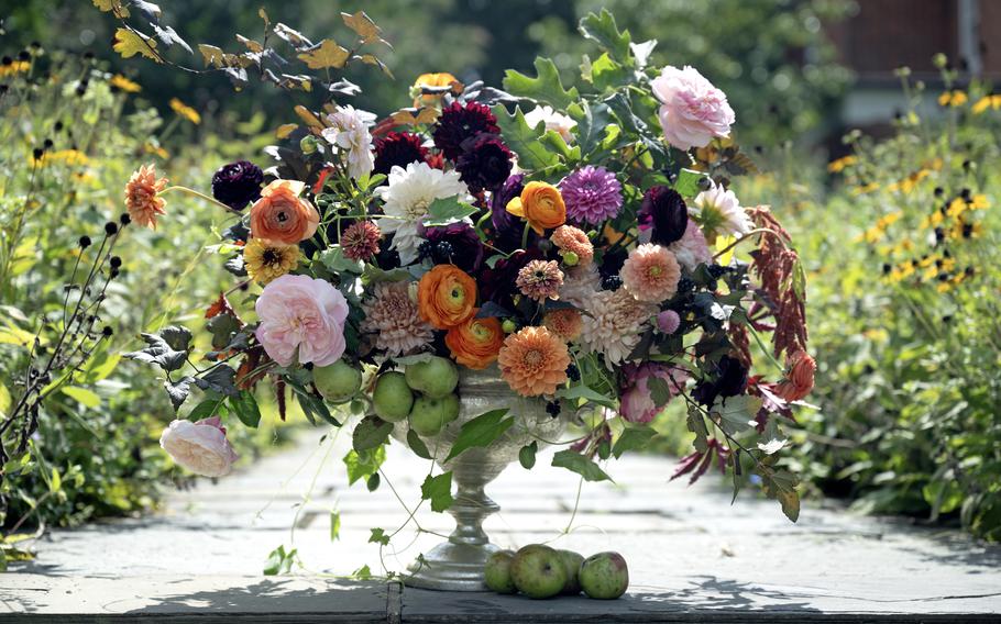 For a large-scale, lush look, Ami Wilber, floral event decor designer at the Hillwood Museum in Washington, arranged dahlias, ranunculus, zinnias, oak leaf, garden roses, ninebark and apples in a pedestal bowl. Cucumber vine and stems of love lies bleeding lend a romantic draping effect. 