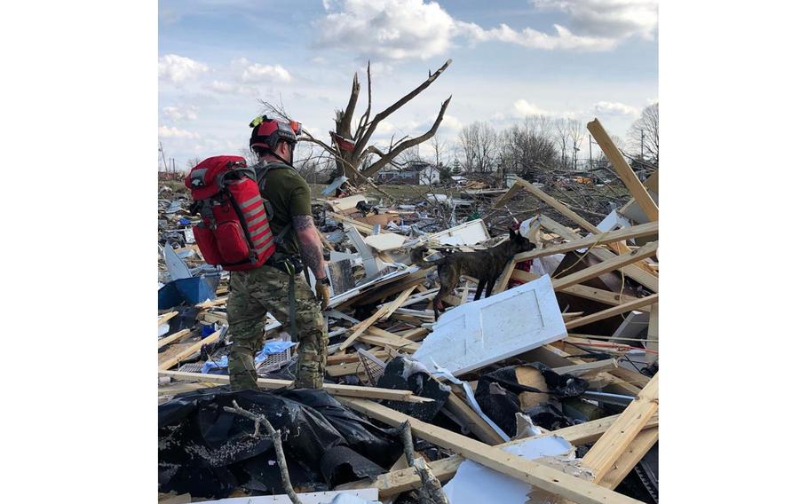 A dog searches debris fields with its handler