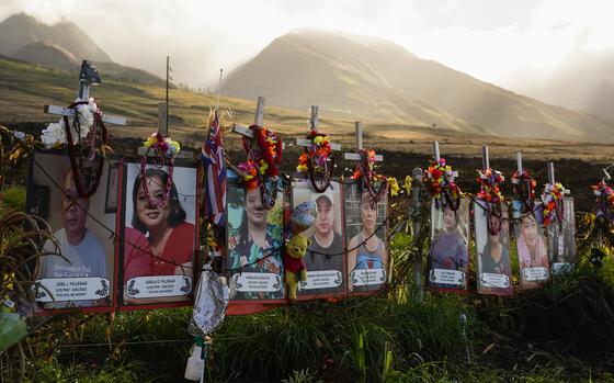 Photos of victims are displayed under white crosses at a memorial for the August 2023 wildfire victims, above the Lahaina Bypass highway, Dec. 6, 2023, in Lahaina, Hawaii. The Maui Fire Department is expected to release a report Tuesday, April 16, 2024, detailing how the agency responded to a series of wildfires that burned on the island during a windstorm last August.