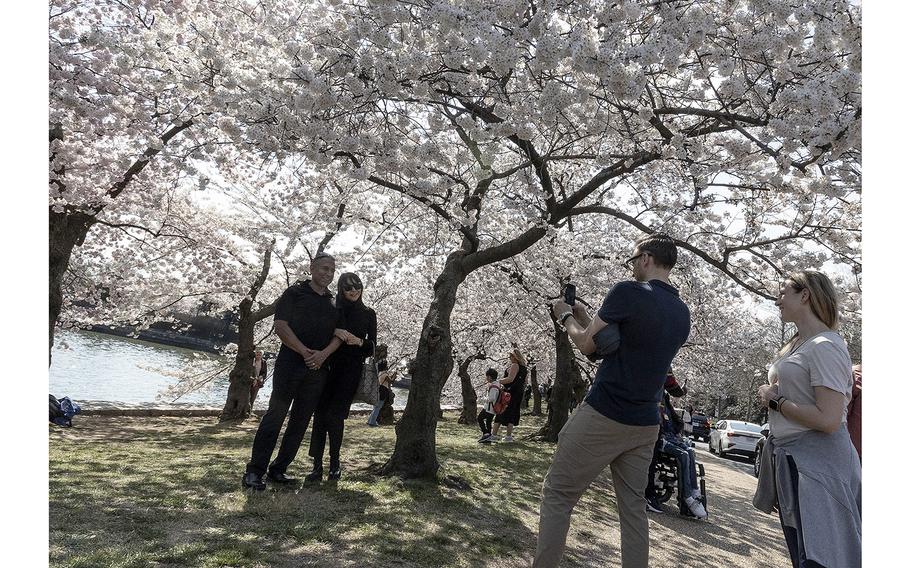 Cherry blossoms attract crowds to the Tidal Basin in Washington, D.C., March 23, 2023.