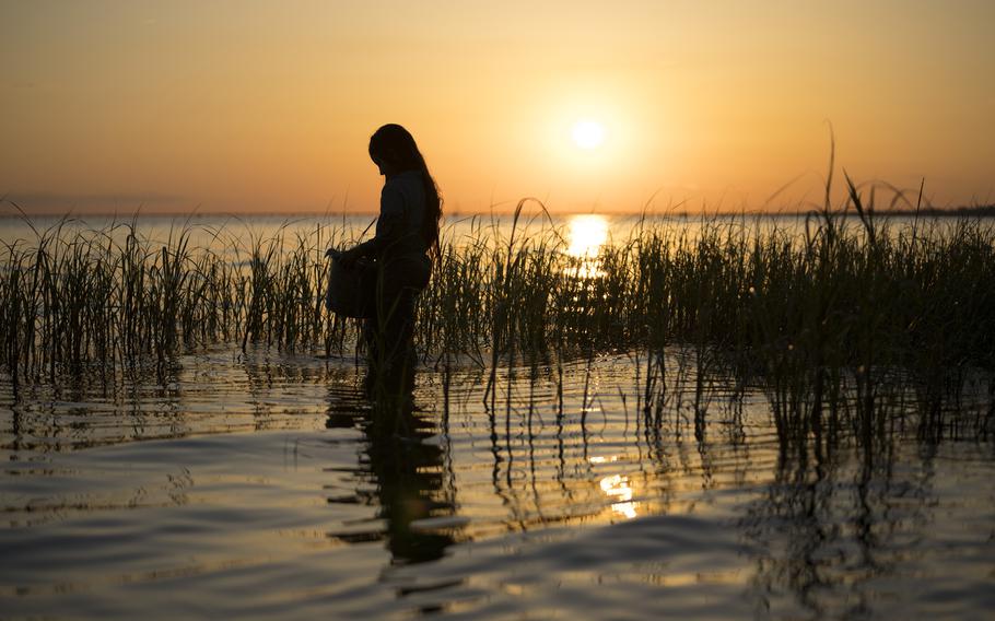 “Where the Crawdads Sing,” based on a bestselling novel, is now playing at many AAFES theaters.