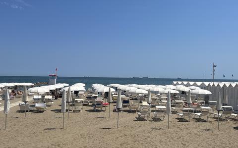 Rows of white umbrellas occupy a beach.