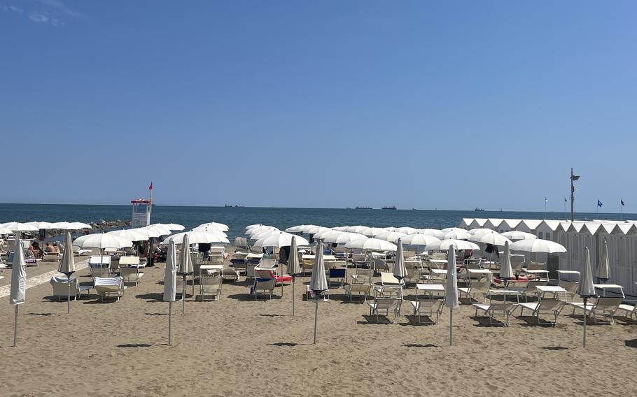 Rows of white umbrellas occupy a beach.