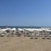 Rows of white umbrellas occupy a beach.