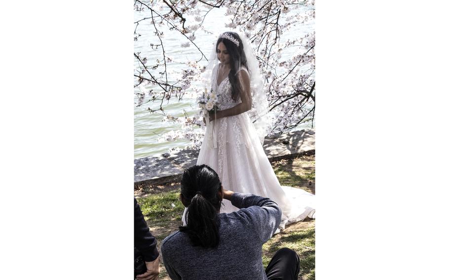 Cherry blossoms attract crowds to the Tidal Basin in Washington, D.C., March 23, 2023.