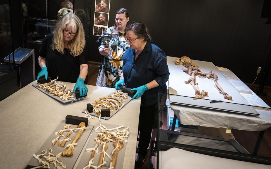 Employees from the National Museum of Denmark unpack the skeleton of a man found in a mass grave in Oxford, England, in Copenhagen, on Wednesday, June 9, 2021. The skeletons of two related Viking-era men, one who died in central Denmark and the other who was killed in England during a massacre ordered by a king, are set to be reunited for an exhibition opening in Copenhagen this month.