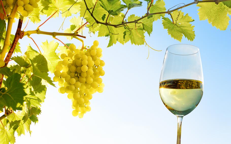 Tasty German wines attract many revelers to a wide variety of wine festivals coming soon across Germany.