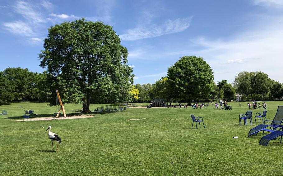 A stork walks across a Freizeitwiese at Luisenpark in Mannheim, Germany, as children walk to a play area in the background, on May 6, 2022.