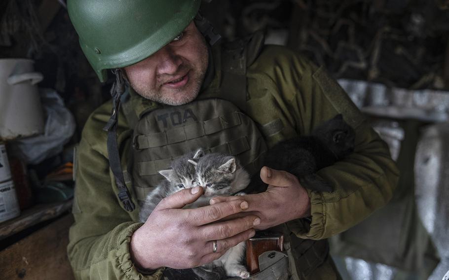 A Ukrainian soldier who goes by the call sign Yarik holds three of six kittens born at the bunker of the 24th Separate Mechanized Brigade near the town of Niu-York in eastern Ukraine on March 21, 2023.