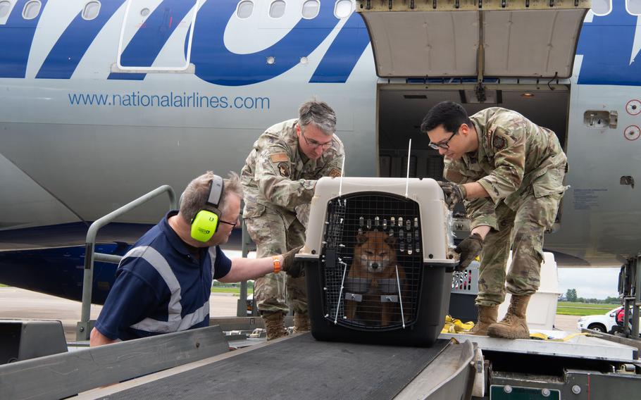 U.S. Air Force Tech. Sgt. Nicholas Lander and Senior Airman Michael Omana unload pets from the Patriot Express at RAF Mildenhall, England, May 9, 2023. The Patriot Express transports personnel and their families to and from Baltimore/Washington International Airport twice a week.