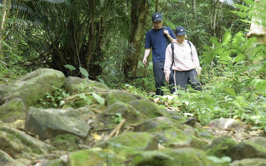The path up Okinawa’s Mount Katsuu is a rugged, sometimes hand-over-hand uphill trek through an enchanting and encapsulating forest.