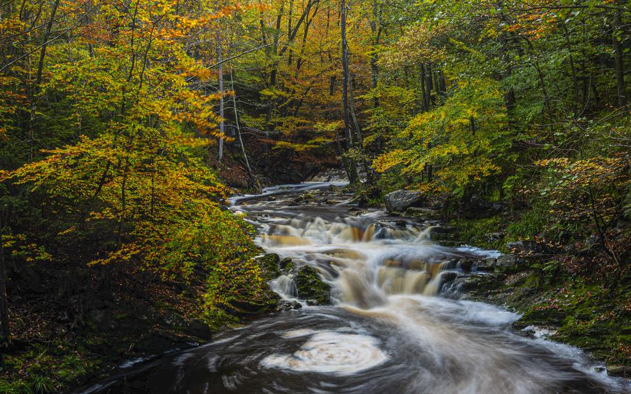 The Hoegne River transforms from a slow-flowing stream to a rushing torrent in the stretch covered by the Promenade de La Hoegne in Jalhay, Belgium. Hikers on the route see small waterfalls, rapids and distinctive globs of foam as well as lush forest scenery.