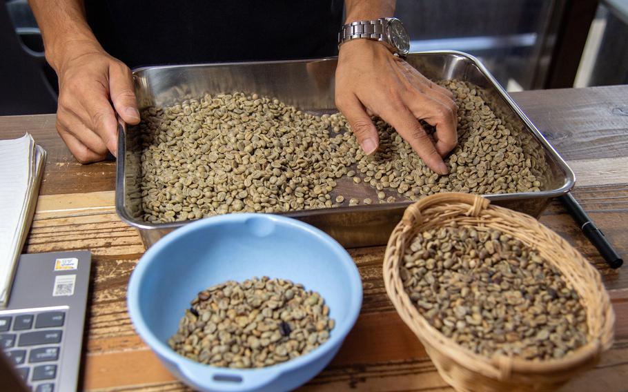 A worker inspects coffee beans for quality at Matayoshi Coffee Farm on Okinawa, July 17, 2025.