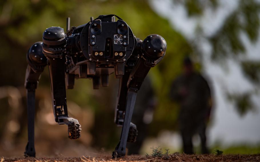 A robot dog runs during training at Dyess Air Force Base, Texas, Aug. 5, 2022. The newly procured Ghost Robotics model has a top speed of nearly 7 mph.