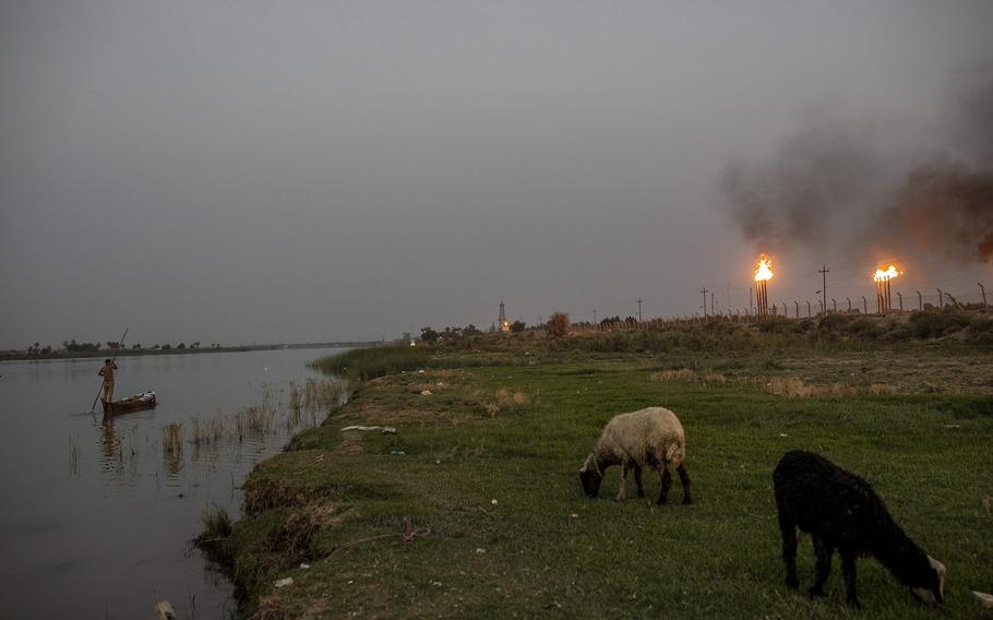 Wells in the Nahr Umr oil field are seen from along the Shatt al Arab River, where a shepherd brought his sheep to graze in Basra on Aug. 19, 2022.