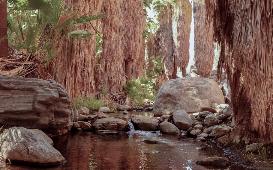 Andreas Canyon Trail, Indian Canyons, Palm Springs. Andreas Canyon’s main attraction is Andreas Creek, which runs year-round between rock walls, watering many California fan palms, sycamores, cottonwoods, willows and about 150 other plant species.  The Andreas Canyon Trail is an easy 1.2 miles.  