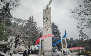 With well-maintained trails and a picturesque bridge, Eunpa Lake Park is a popular spot for families, couples and solo visitors seeking a break from city life.