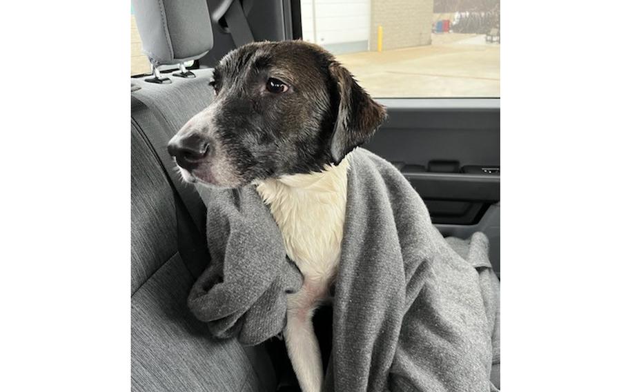 Members of Coast Guard Station Kenosha rescued a dog from the icy waters near the Great Lakes Yacht Club in Kenosha Harbor, Wis., on Jan. 25, 2024.