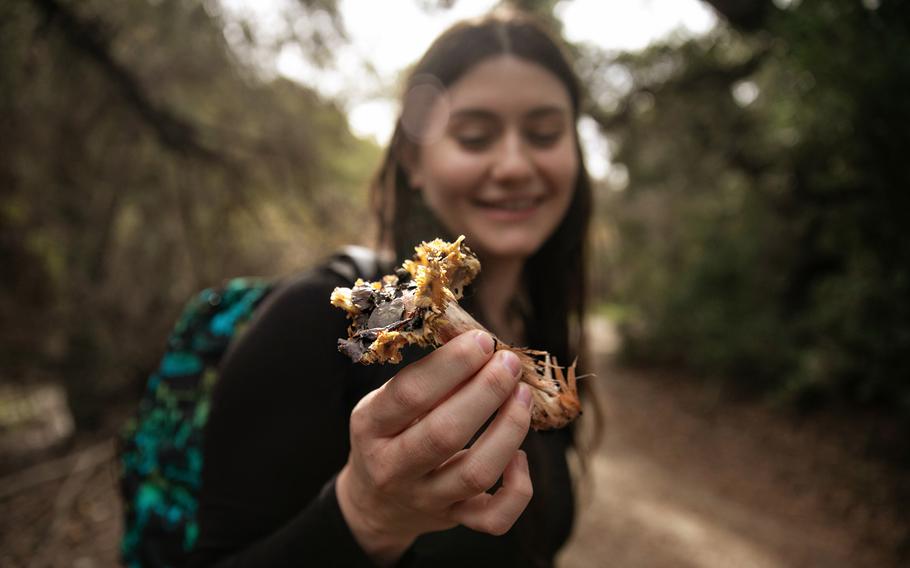 Bat Vardeh admires a mushroom in Canyon View Park on Jan. 12 in Aliso Viejo, Calif. Vardeh is the field trip chair for the Los Angeles Mycological Society.