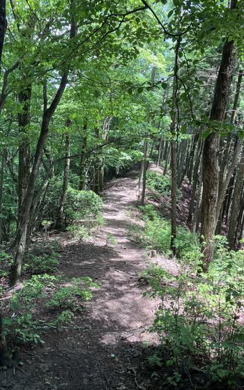 Sunlight illuminates the path atop the summit of Mount Honita above Okutama, Japan, May 28, 2024.