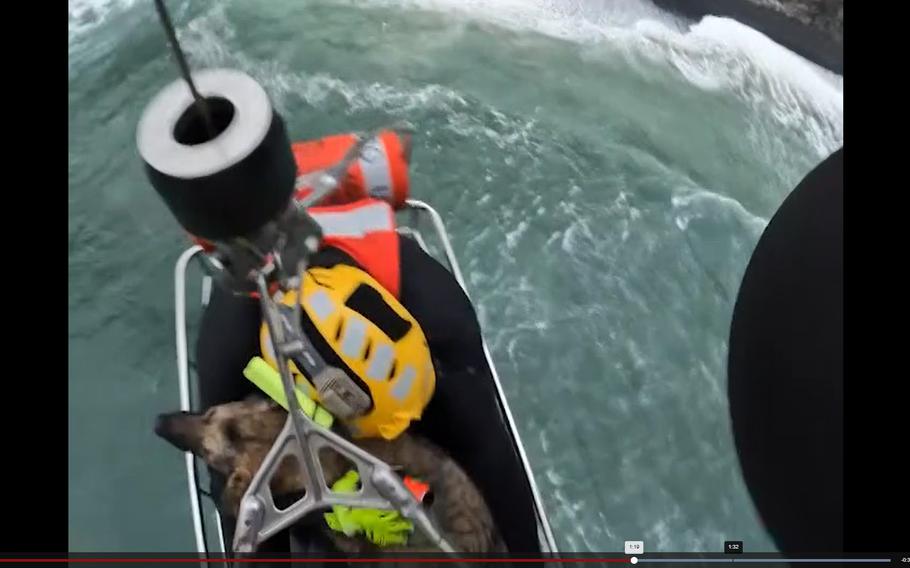 Members of U.S. Coast Guard Air Station Astoria hoist a dog after she fell from a cliff in Ecola State Park, Cannon Beach, Ore., on June 14, 2023.