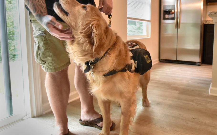 K9s for Warriors service dog Kup gets a rub from Marine veteran Chris Langston after a 2019 ceremony of a new home.