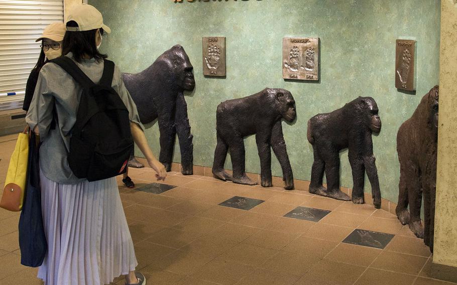 Visitors check out an ape exhibit at Tama Zoological Park in Hino, Tokyo.